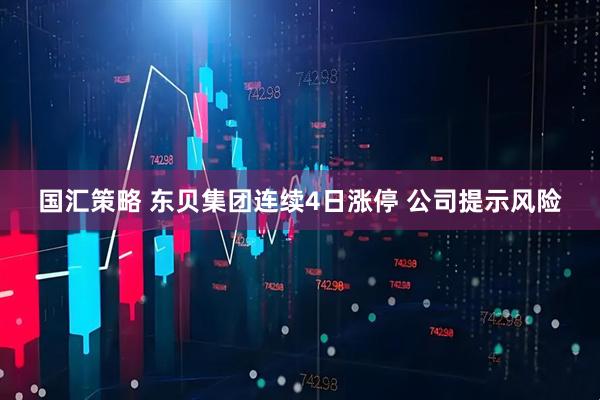 国汇策略 东贝集团连续4日涨停 公司提示风险