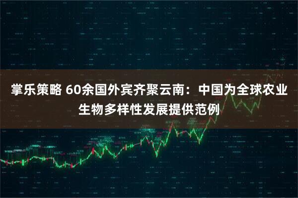 掌乐策略 60余国外宾齐聚云南：中国为全球农业生物多样性发展提供范例