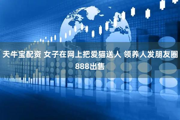 天牛宝配资 女子在网上把爱猫送人 领养人发朋友圈888出售