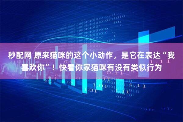 秒配网 原来猫咪的这个小动作，是它在表达“我喜欢你”！快看你家猫咪有没有类似行为