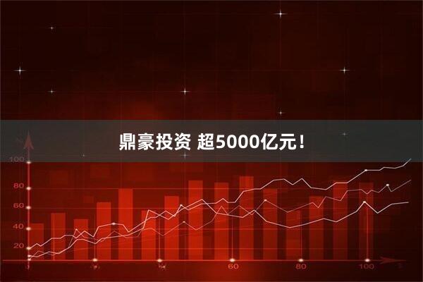 鼎豪投资 超5000亿元！