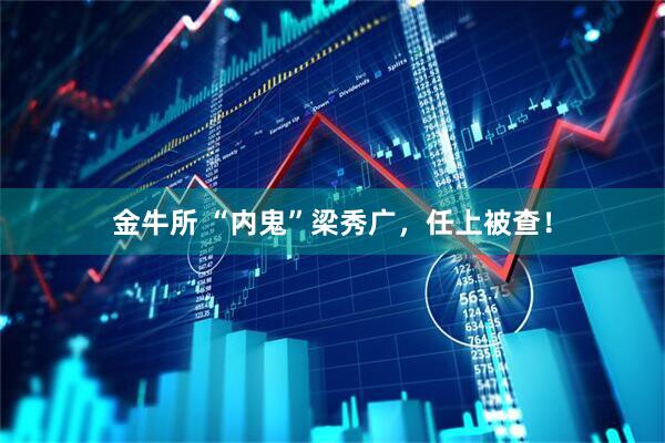 金牛所 “内鬼”梁秀广，任上被查！